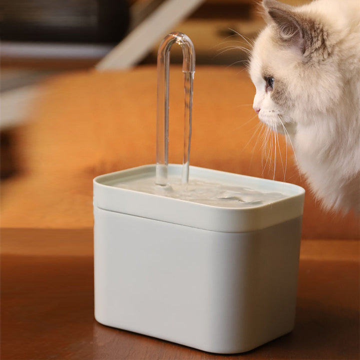 Fountainy™ – Der Auto-Filter-Katzenbrunnen für frisches, gesundes Wasser jederzeit