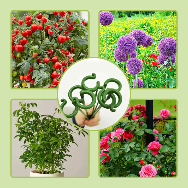 EasyStake™ – Perfekte Pflanzenstütze für Ihren Garten | 5+5 GRATIS!