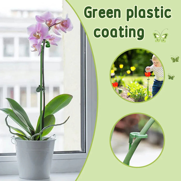 EasyStake™ – Perfekte Pflanzenstütze für Ihren Garten | 5+5 GRATIS!