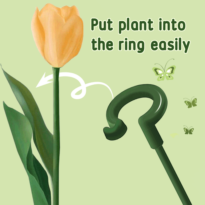 EasyStake™ – Perfekte Pflanzenstütze für Ihren Garten | 5+5 GRATIS!