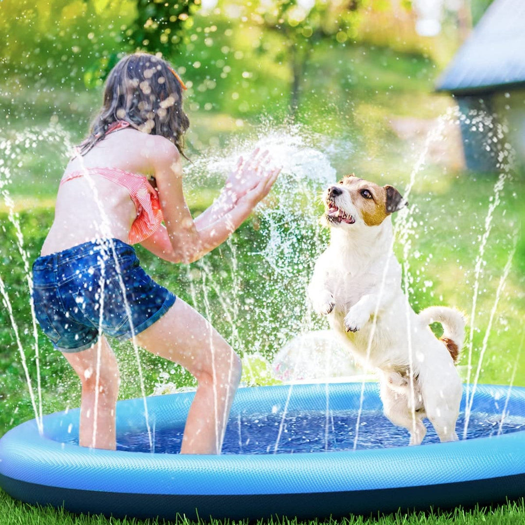 Splashdog™ Hunde-Pool