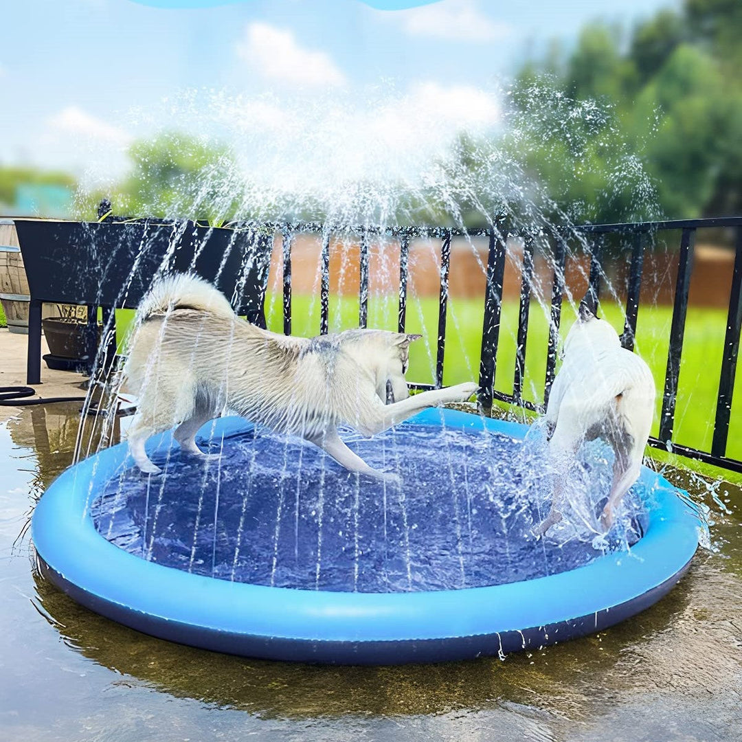 Splashdog™ Hunde-Pool