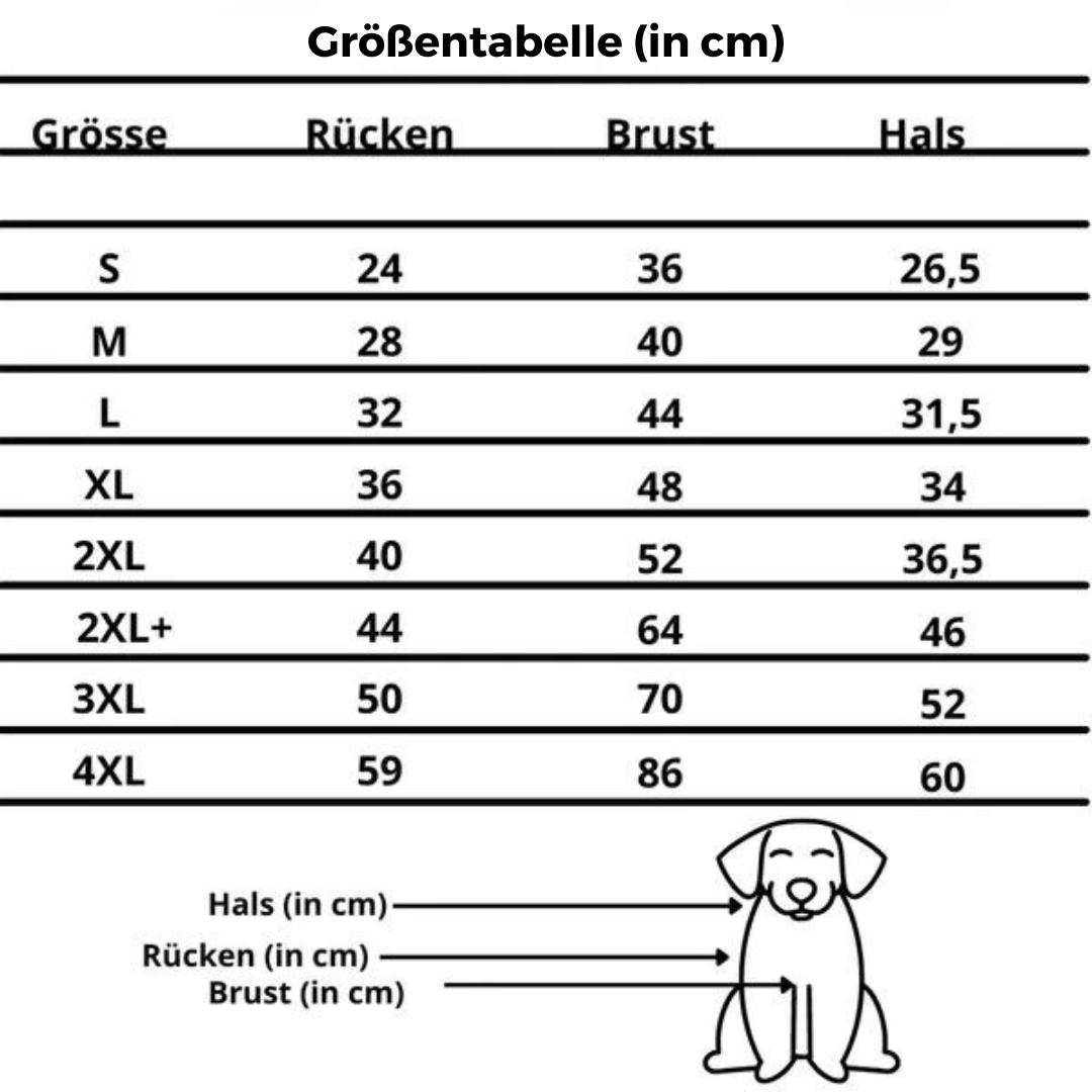 WinterCare™ | Schütze deinen Hund vor Kälte und Unterkühlung