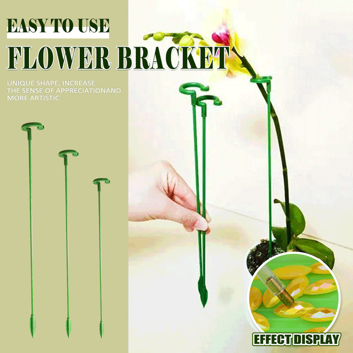 EasyStake™ – Perfekte Pflanzenstütze für Ihren Garten | 5+5 GRATIS!