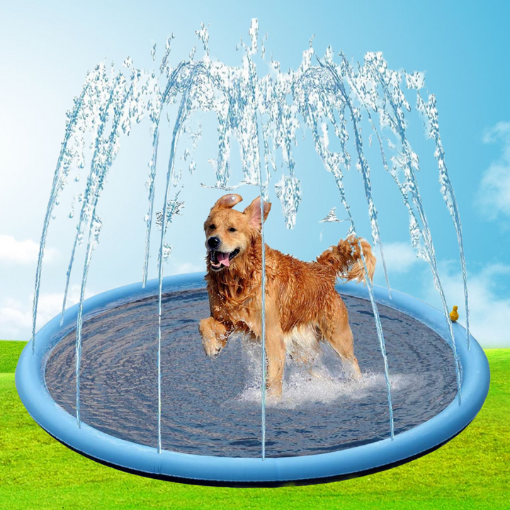 Splashdog™ Hunde-Pool