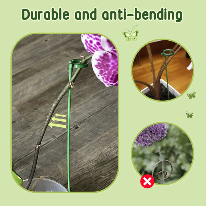 EasyStake™ – Perfekte Pflanzenstütze für Ihren Garten | 5+5 GRATIS!