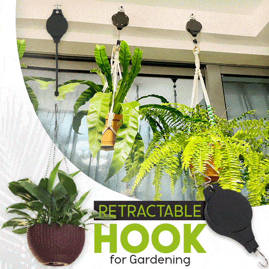 EasyPlant™ – Müheloses Gießen & Gesunde Pflanzen | 2+2 GRATIS