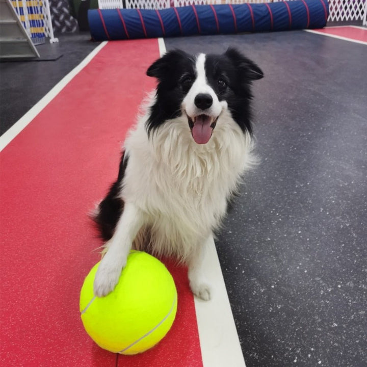 BouncingDog™ - Monster Tennis Ball