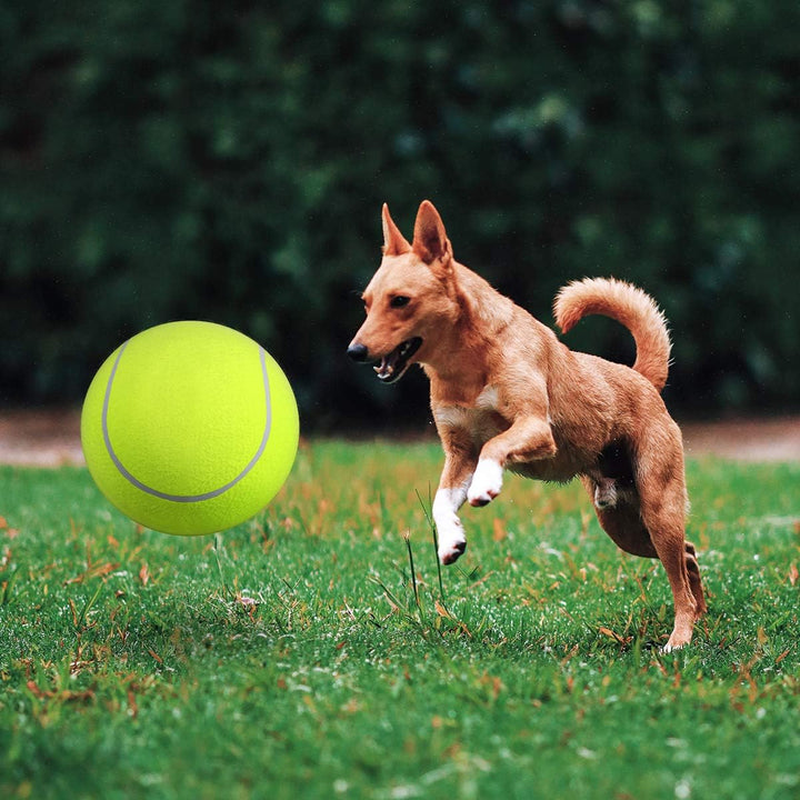 BouncingDog™ - Monster Tennis Ball