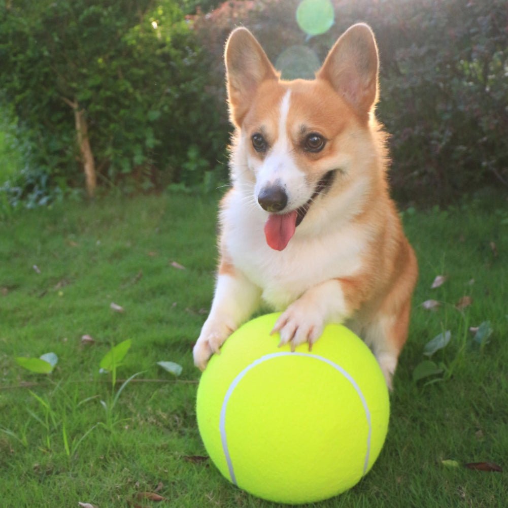 BouncingDog™ - Monster Tennis Ball