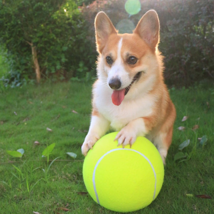 BouncingDog™ - Monster Tennis Ball