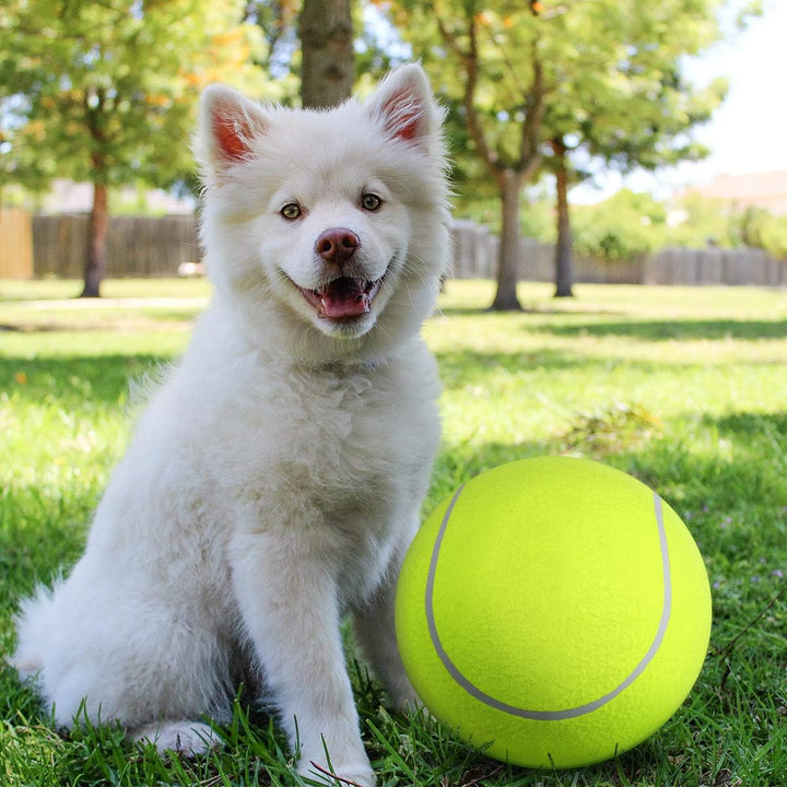 BouncingDog™ - Monster Tennis Ball